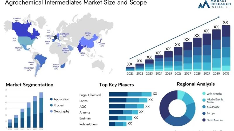 2025 Mining Belt Conveyor Industry Report